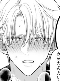 本音を隠した治療師は竜人サマに身体の奥まで暴かれる〜春情の章〜の登場人物 〇〇の紹介