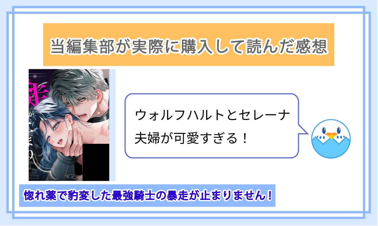 惚れ薬で豹変した最強騎士の暴走が止まりません!を実際に読んだ感想